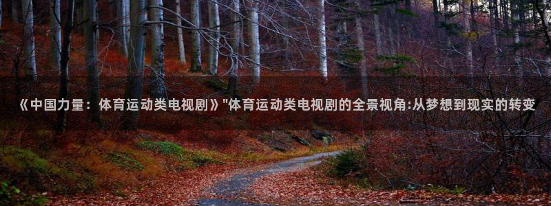 企鹅体育NBA在线直播