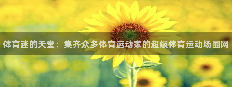 企鹅体育平台官网：体育迷的天堂：集齐众多体育运动家的超级体育运动场围网