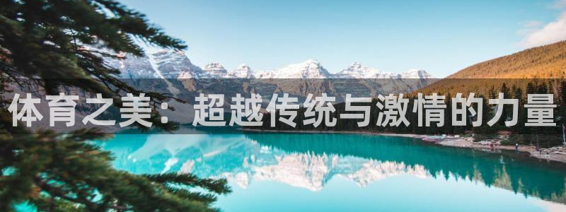 企鹅体育马莎f1