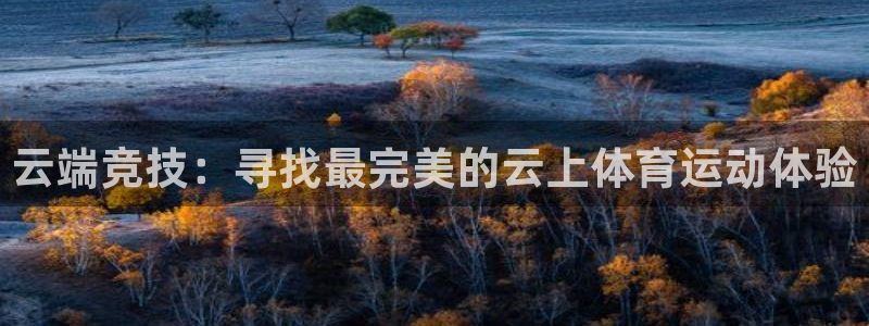 企鹅体育封号