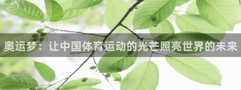 企鹅体育f1
