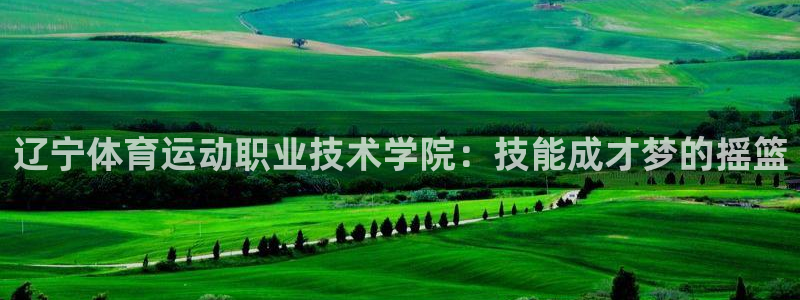 企鹅体育投注入口