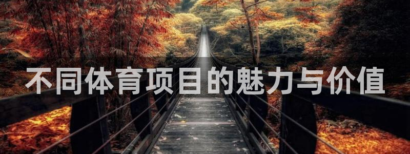 企鹅体育网