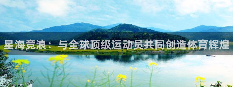 企鹅体育网