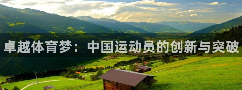 企鹅体育鹅蛋