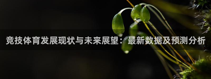 企鹅体育野草助手口令