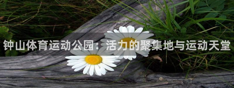 企鹅体育app手机版：钟山体育运动公园：活力的聚集地与运动天堂
