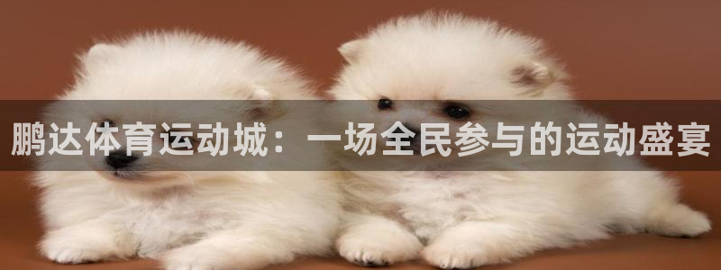 企鹅体育NBA火箭比赛录像：鹏达体育运动城：一场全民参与的运动盛宴